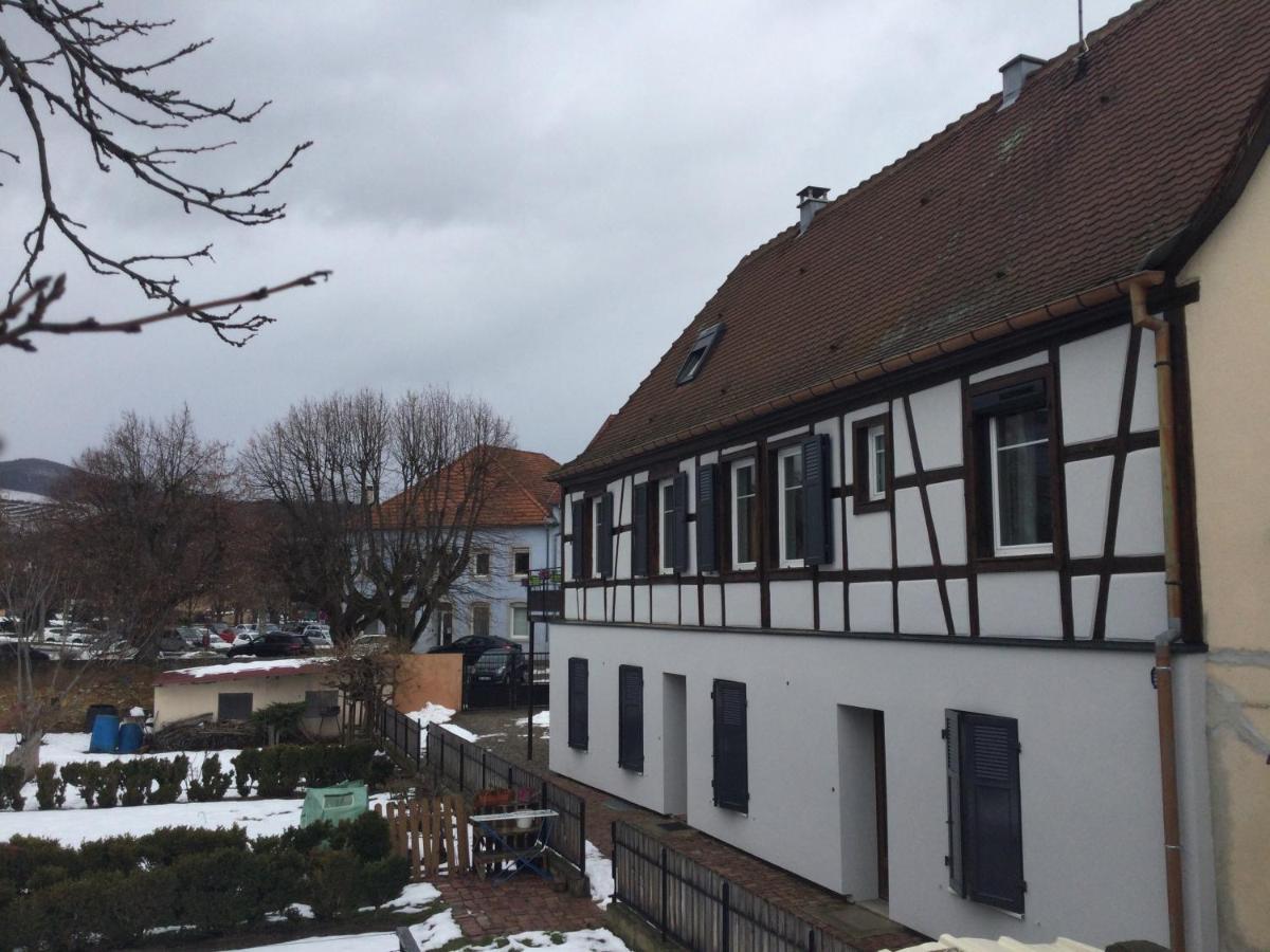 Cote Jardin Ingersheim