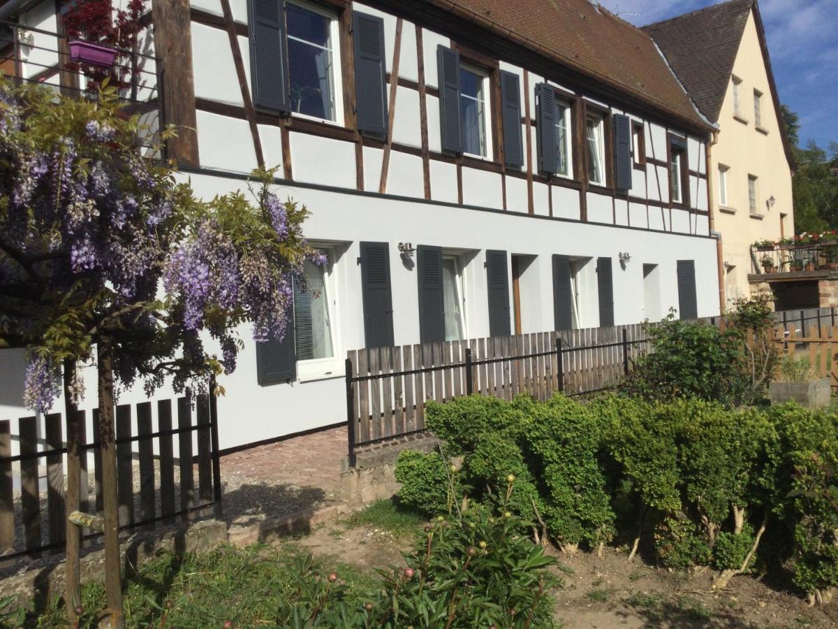 Cote Jardin Ingersheim