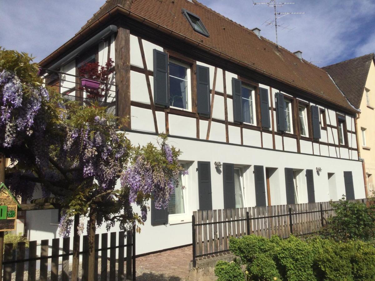 Cote Jardin Appartement
