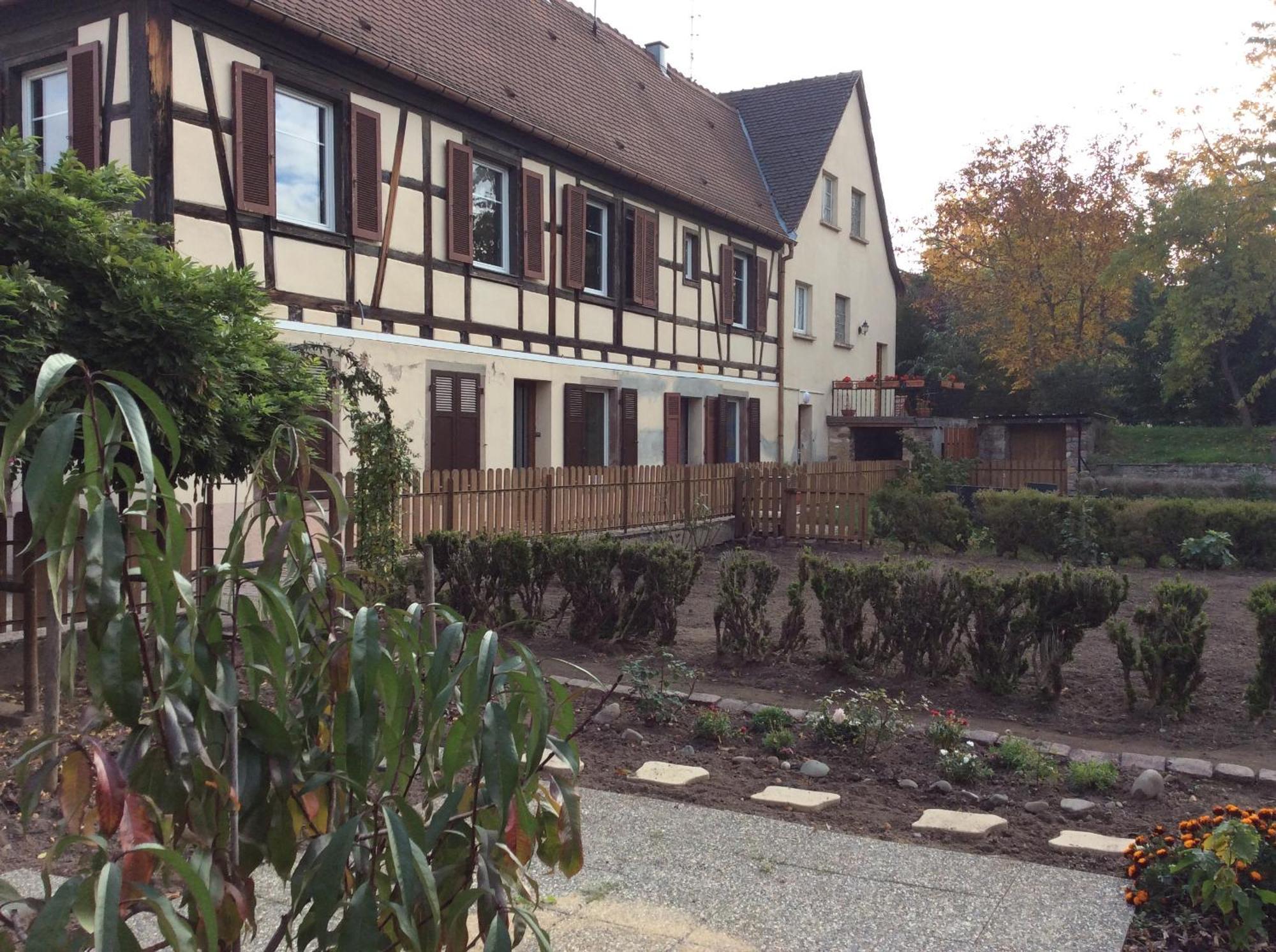 Cote Jardin Appartement Ingersheim