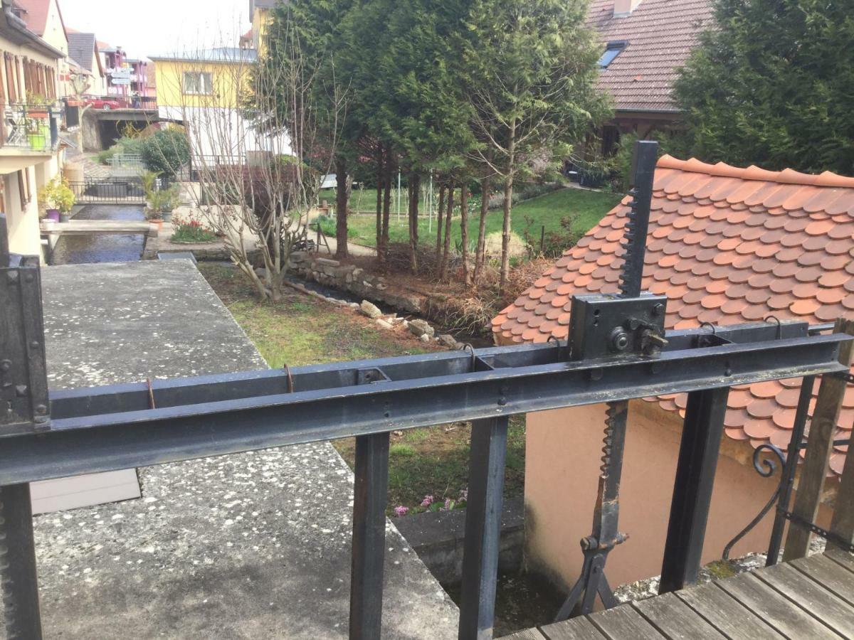 Cote Jardin Apartment Ingersheim